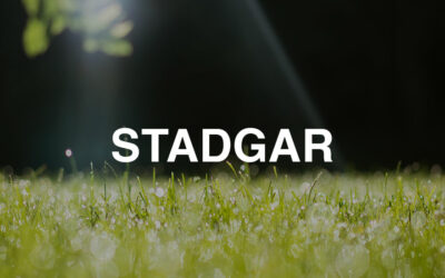 Stadgar